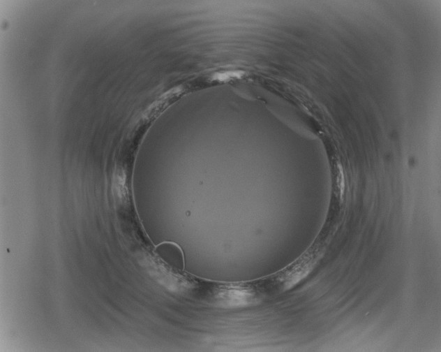 X0000080690610200612221054