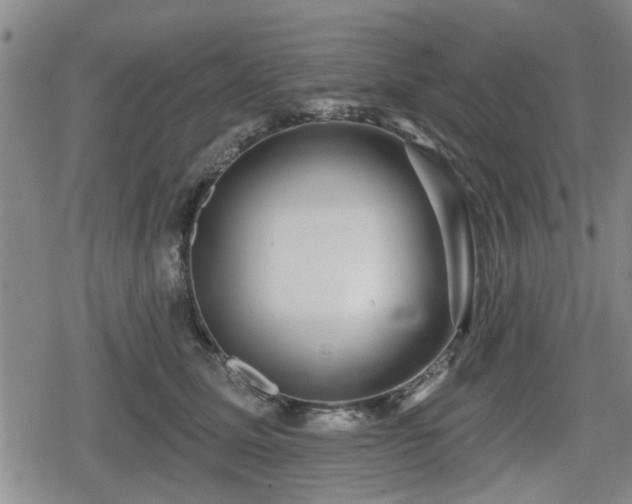 X0000080690611200612221054