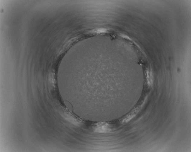 X0000080690612200612221054