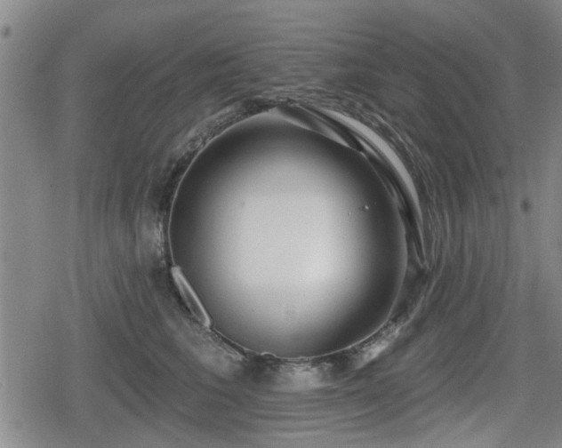 X0000080690613200612221054