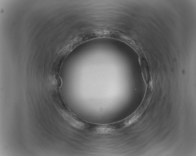 X0000080690614200612221054