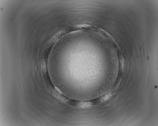 X0000080690617200612221054