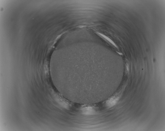 X0000080690620200612221054