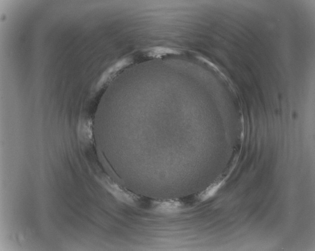 X0000080690621200612221054