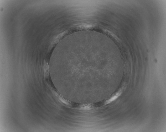 X0000080690624200612221054