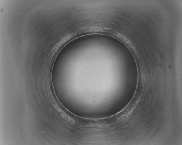 X0000080690625200612221053