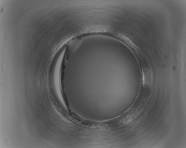 X0000080690627200612221053