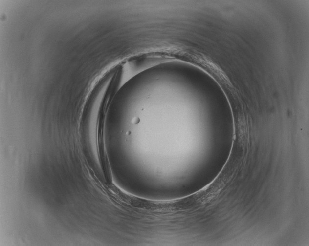 X0000080690628200612221053