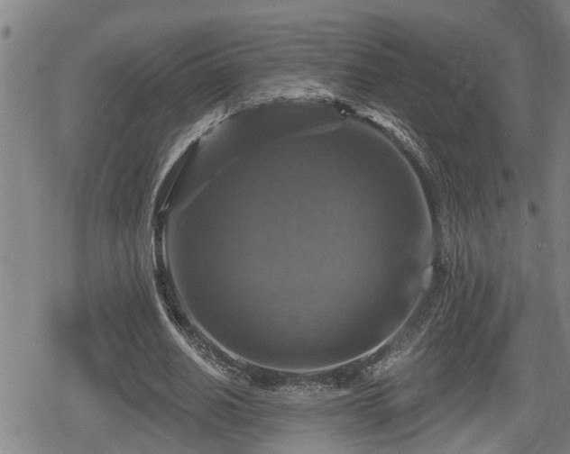 X0000080690630200612221053