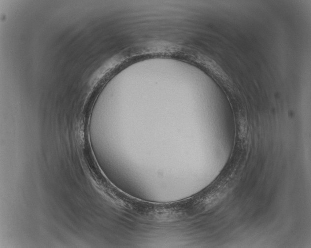 X0000080690632200612221053