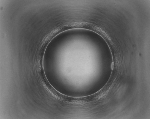 X0000080690633200612221053