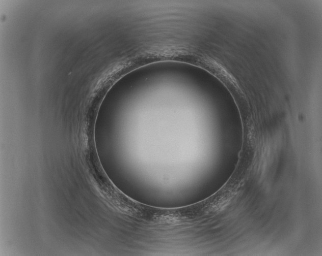 X0000080690635200612221053