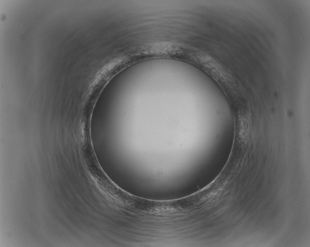 X0000080690636200612221053