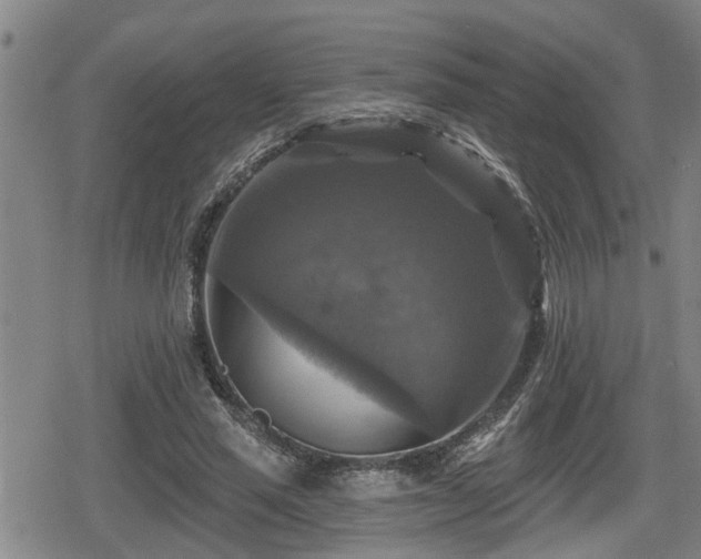 X0000080690637200612221053