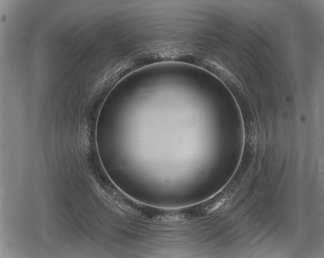 X0000080690639200612221053