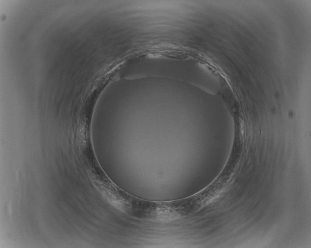 X0000080690641200612221053