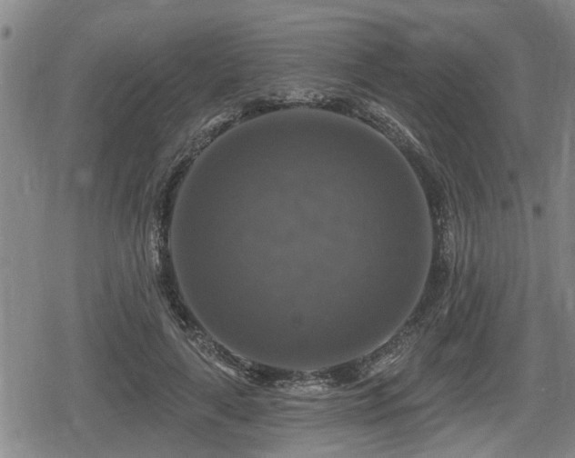 X0000080690643200612221054