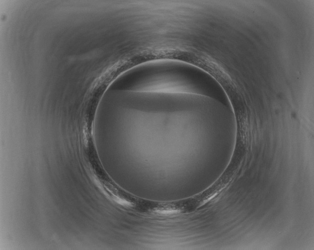 X0000080690644200612221054