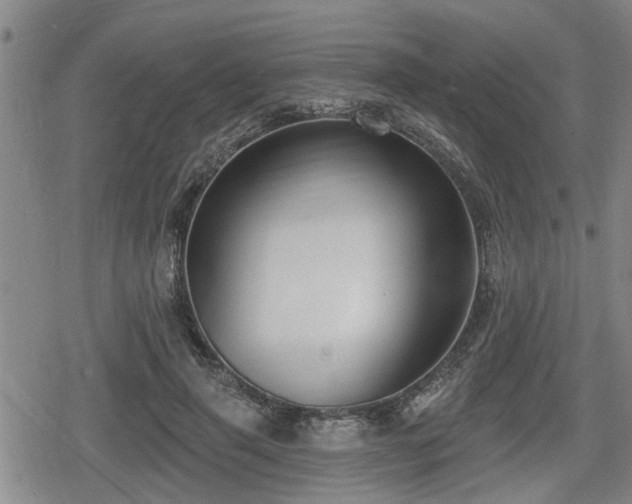 X0000080690645200612221054