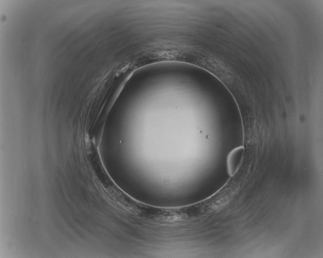 X0000080690646200612221054