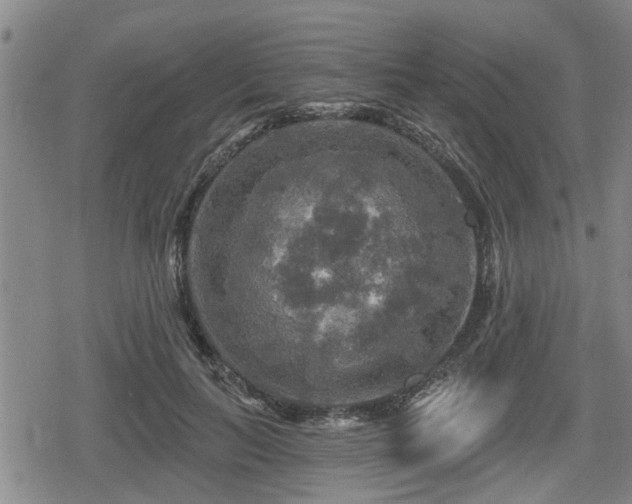 X0000080690647200612221054