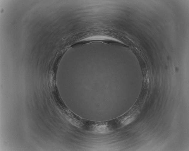 X0000080690651200612221054