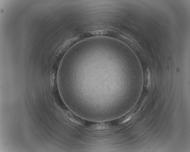 X0000080690652200612221054