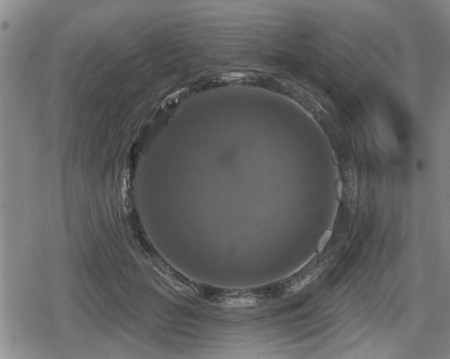 X0000080690653200612221054