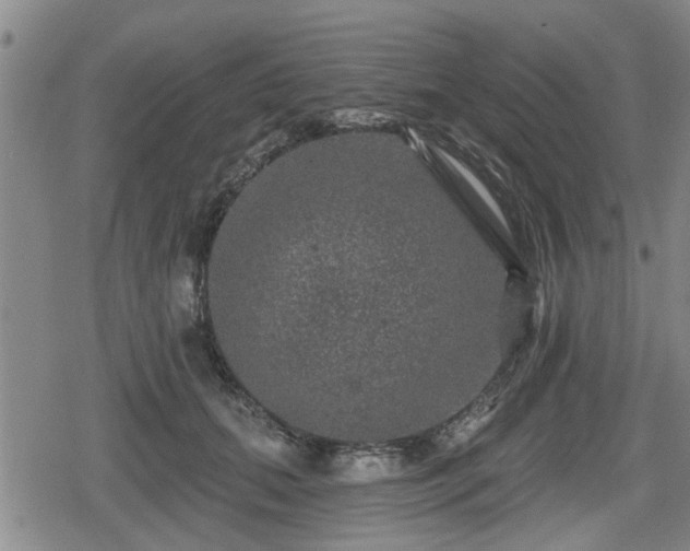 X0000080690655200612221054