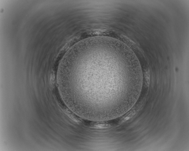 X0000080690657200612221054