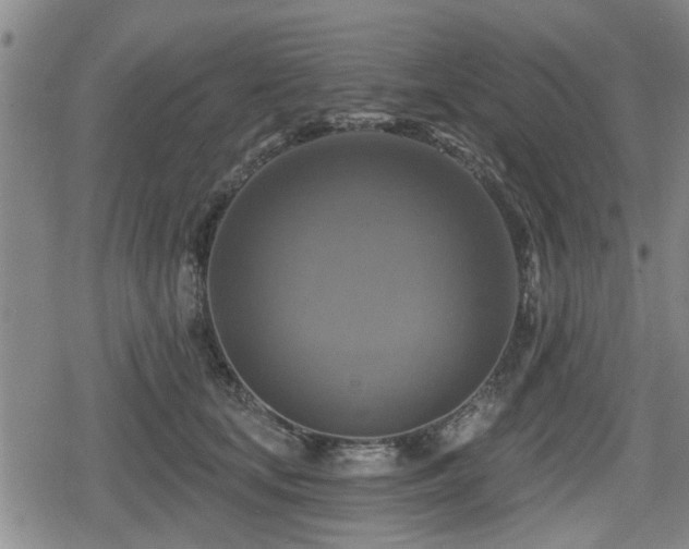 X0000080690659200612221054