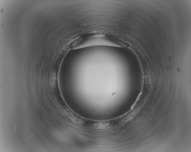 X0000080690660200612221054