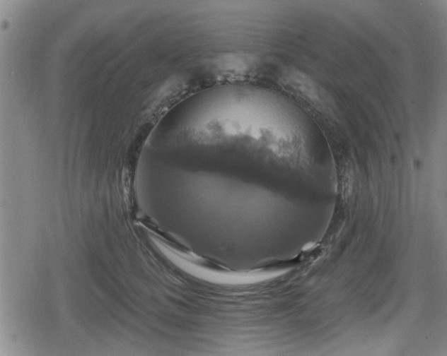 X0000080690661200612221054