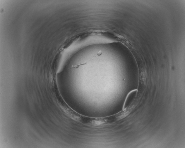 X0000080690662200612221054