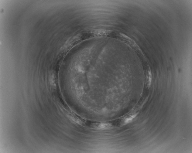 X0000080690663200612221054