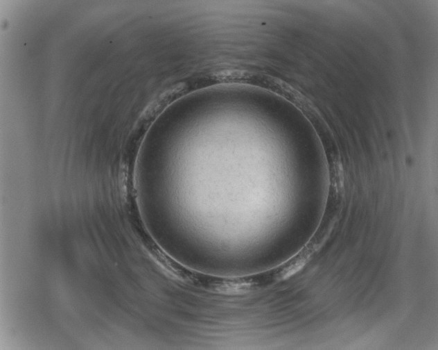 X0000080690664200612221054