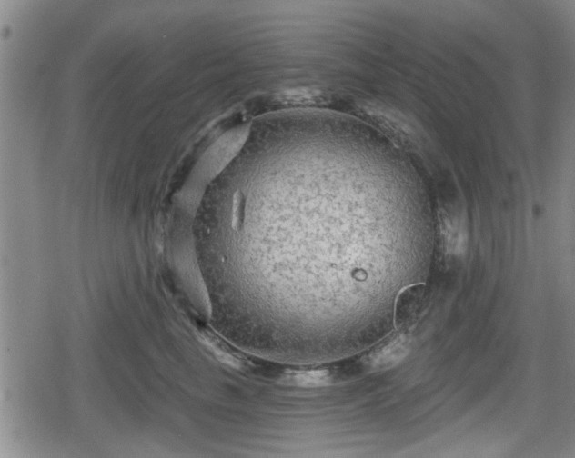 X0000080690665200612221054