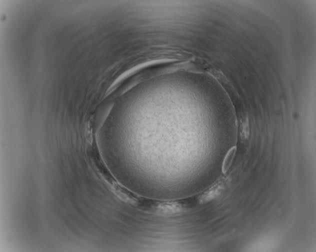 X0000080690666200612221054