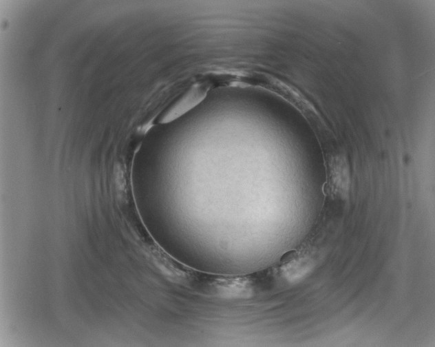 X0000080690667200612221054