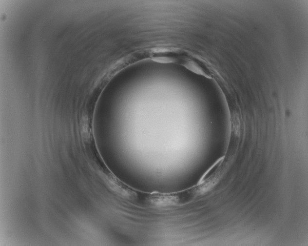 X0000080690670200612221054