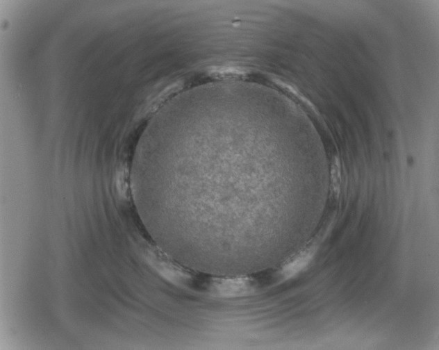 X0000080690671200612221054