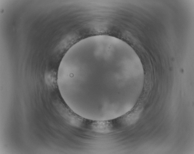 X0000080690672200612221054