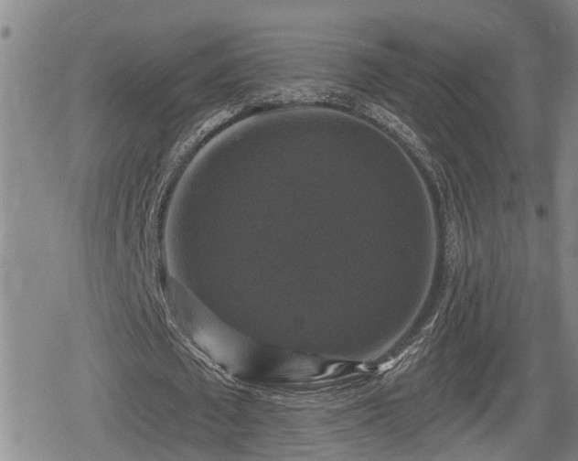 X0000080690673200612221053