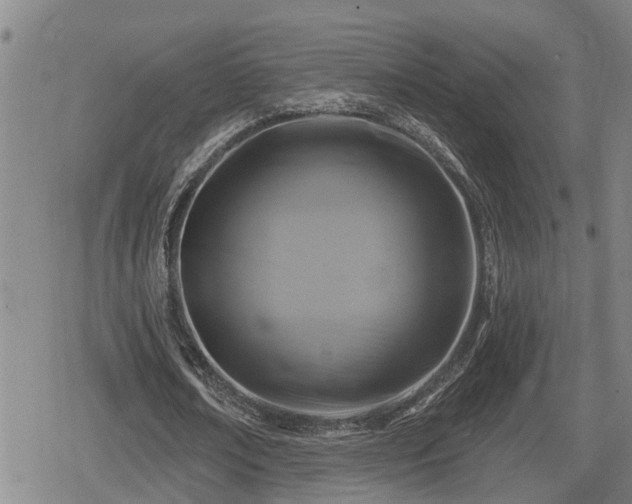 X0000080690674200612221053