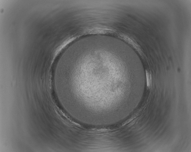 X0000080690675200612221053