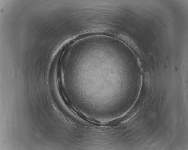 X0000080690676200612221053