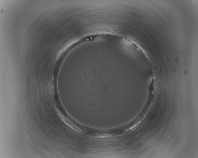 X0000080690677200612221053