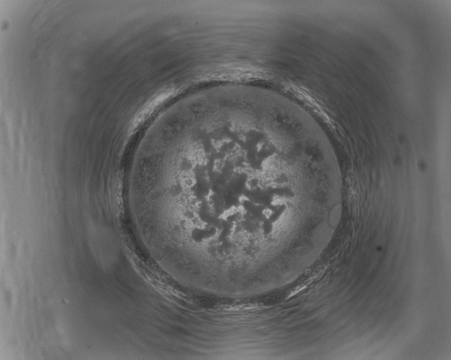 X0000080690679200612221053