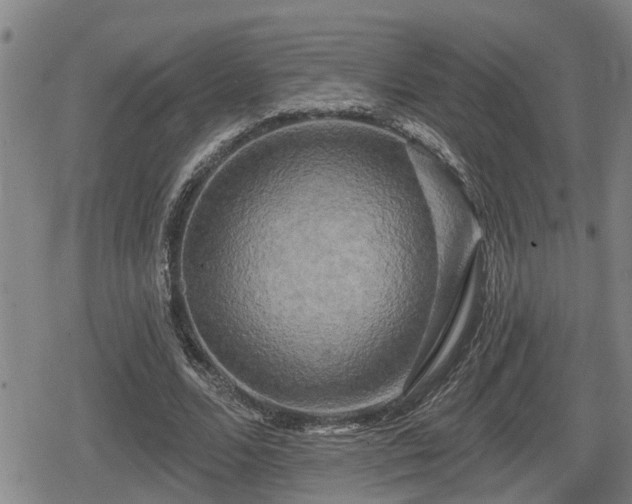 X0000080690680200612221053