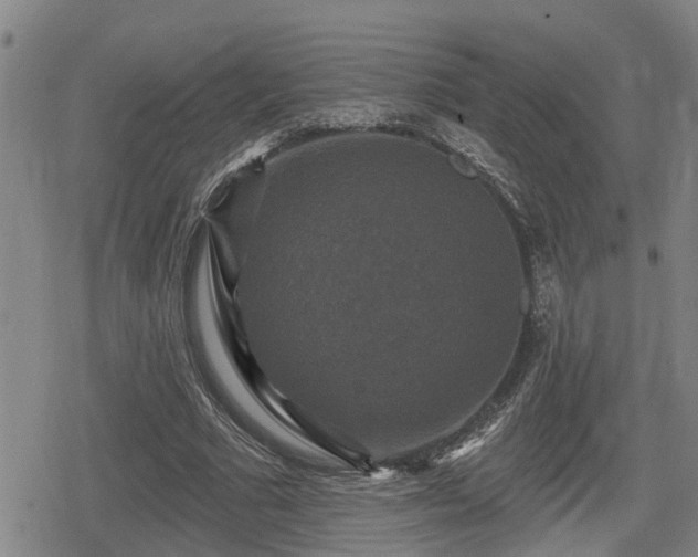 X0000080690681200612221053